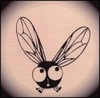 Benutzeravatar